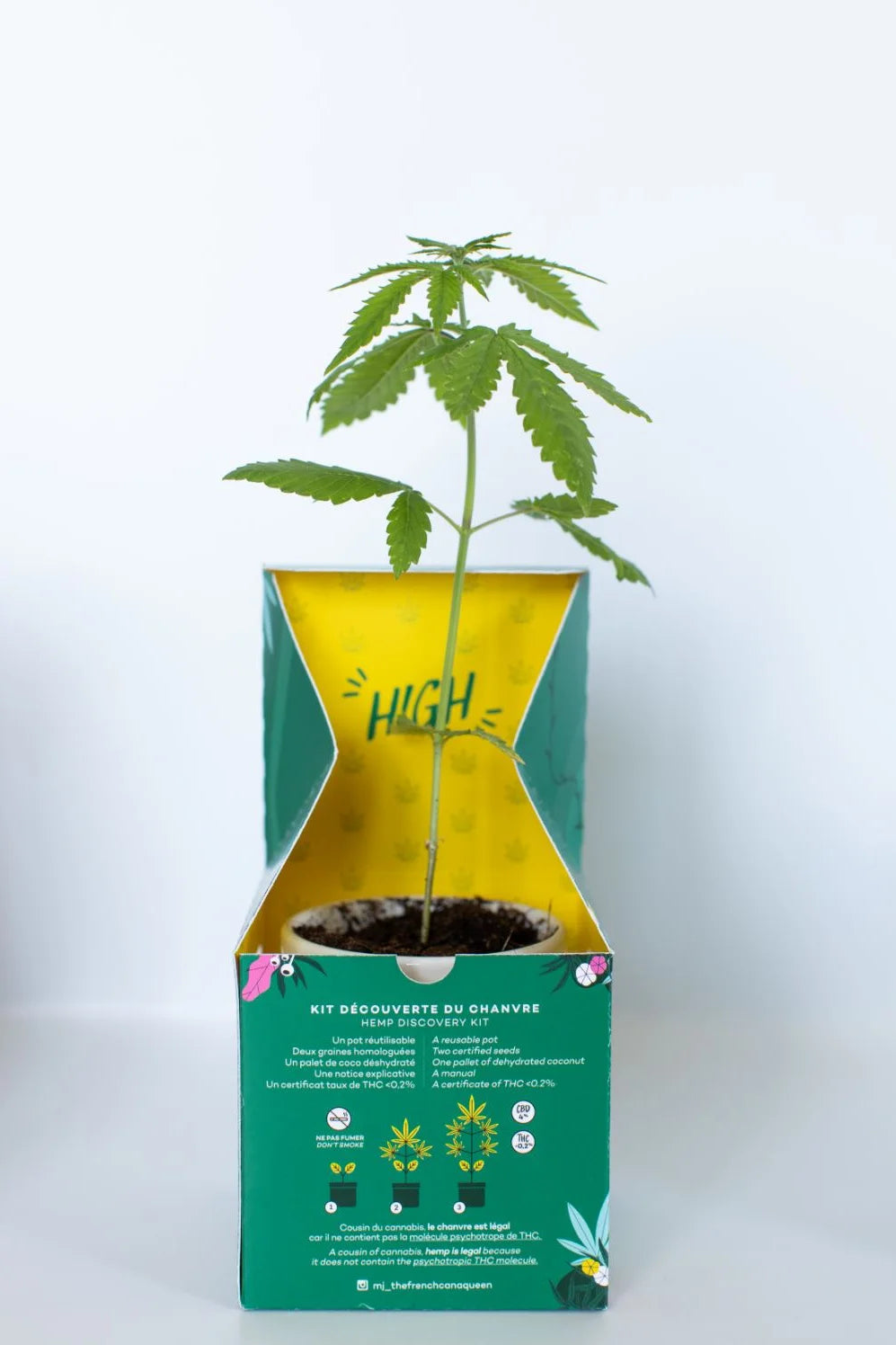 Kit plantation de chanvre CBD - Blondie