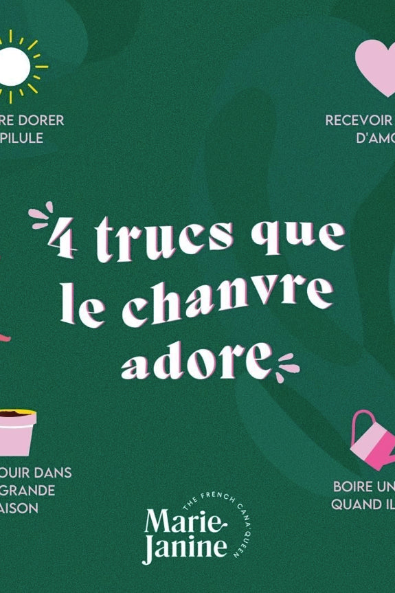 Kit plantation de chanvre CBD - Rouquine