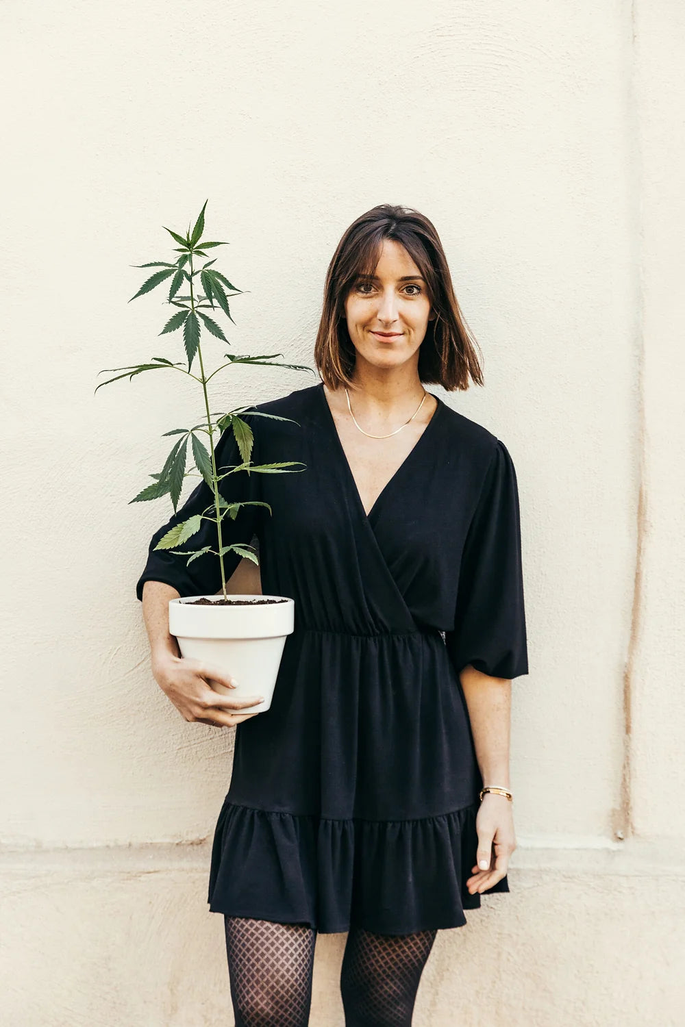 Kit plantation de chanvre CBD - Rouquine