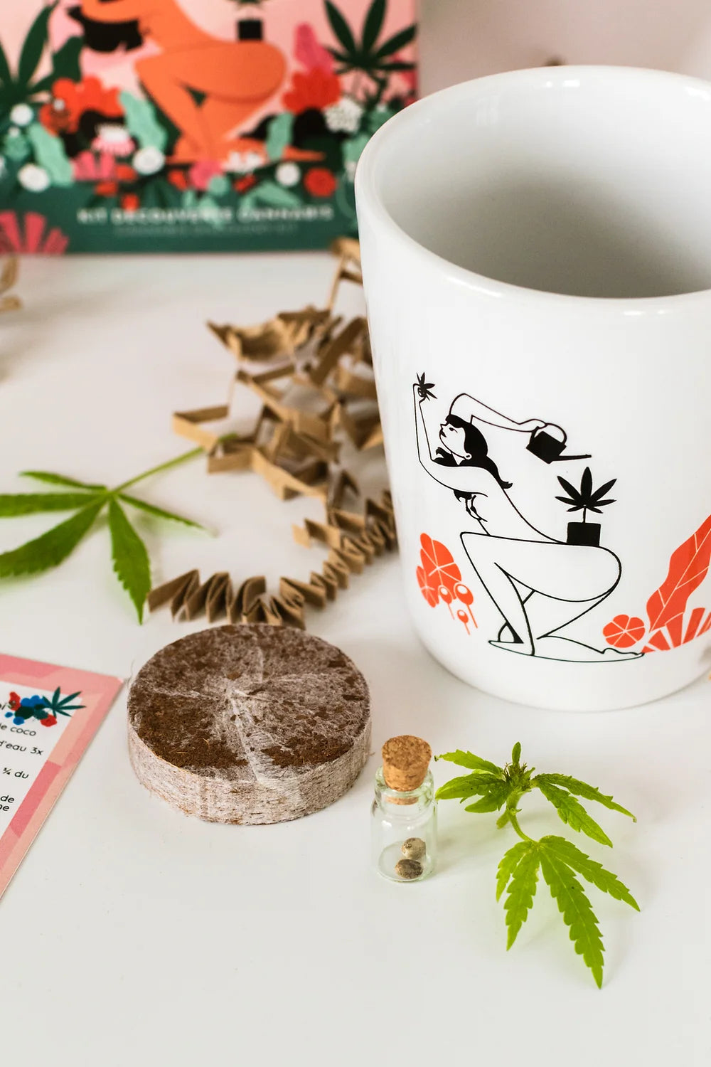 Kit plantation de chanvre CBD - Brunette