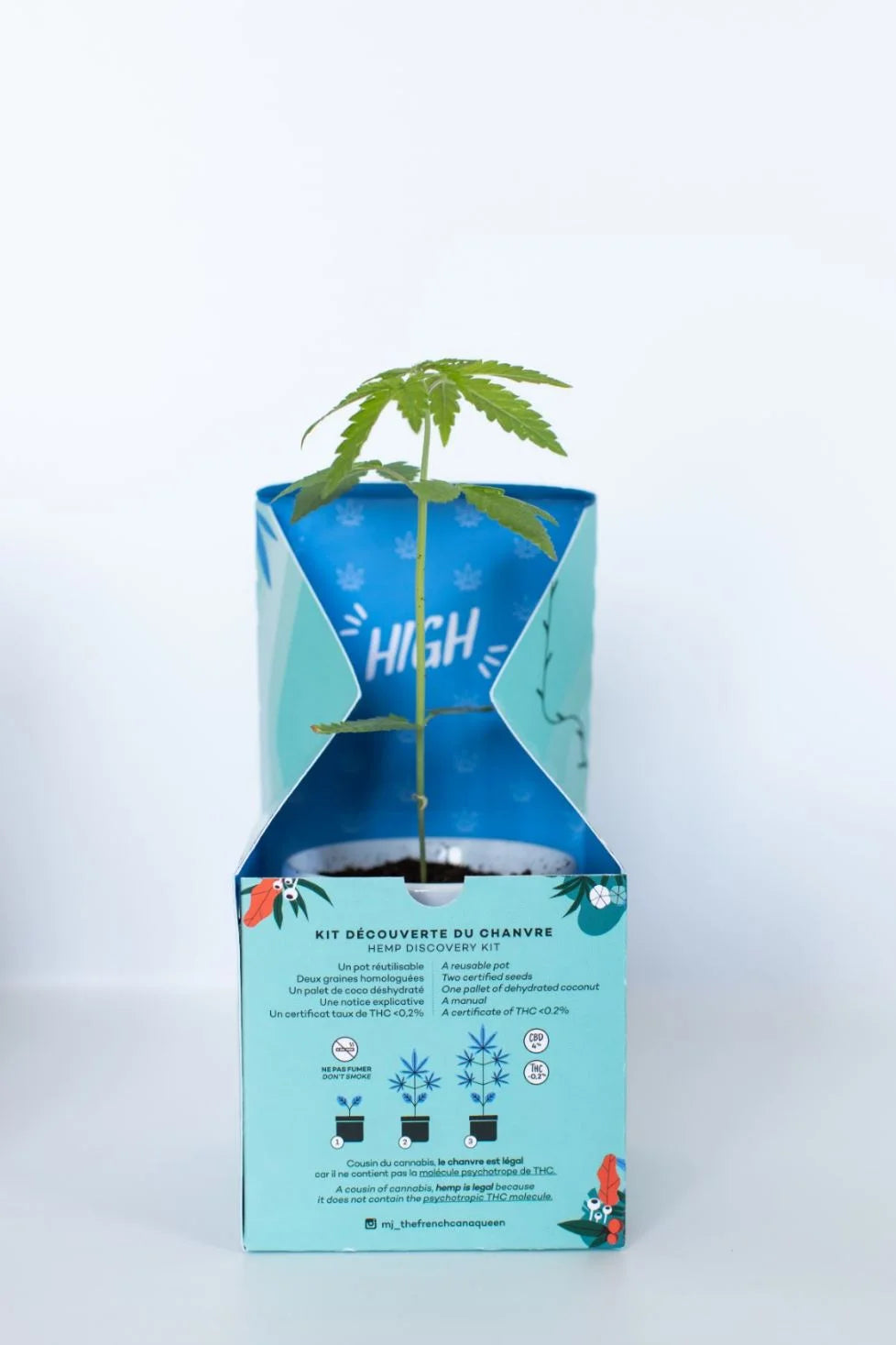 Kit plantation de chanvre CBD - Rouquine