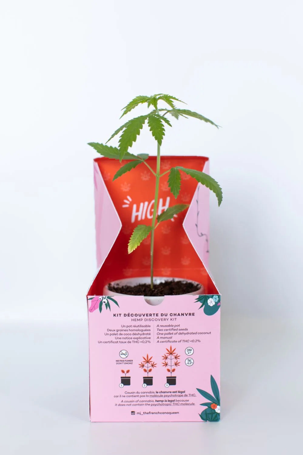 Kit plantation de chanvre CBD - Brunette