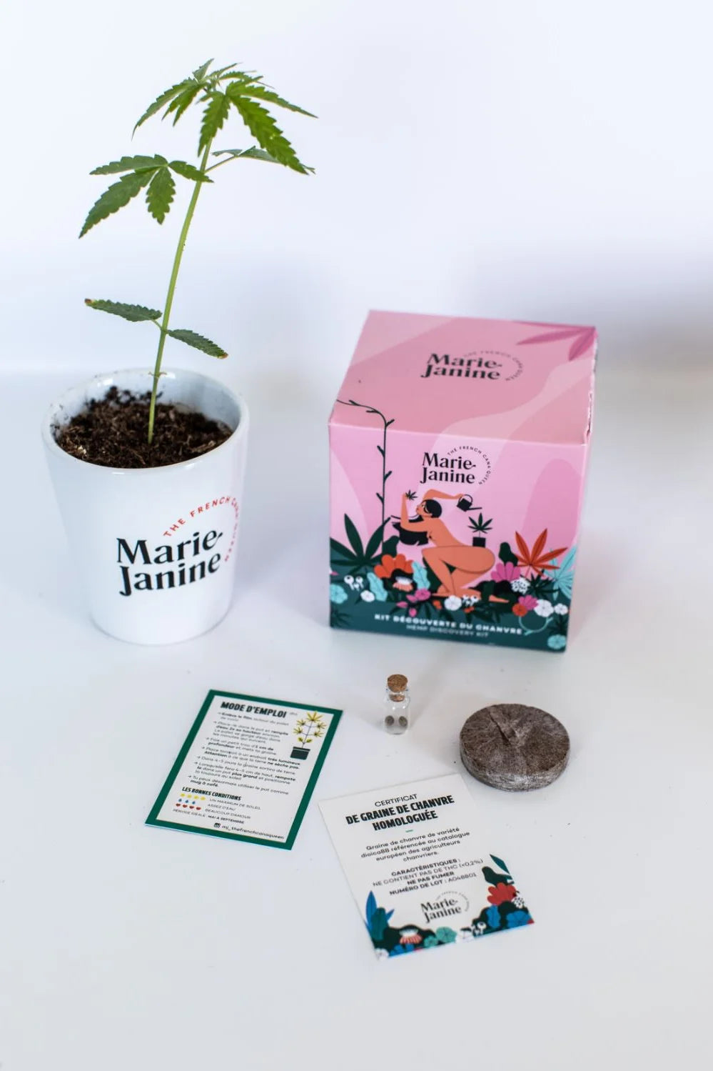 Kit plantation de chanvre CBD - Brunette