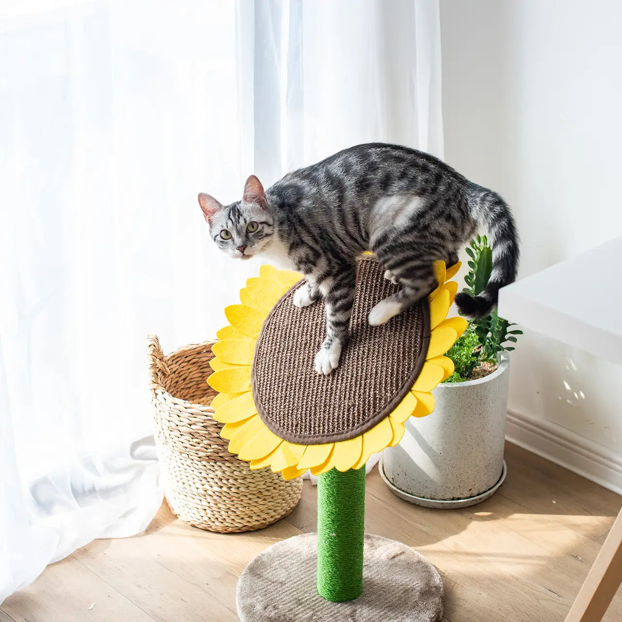 Grattoir pour chat inclinable - Flowers