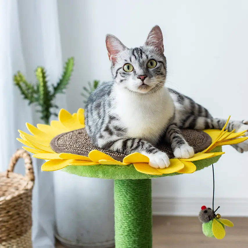Grattoir pour chat inclinable - Flowers