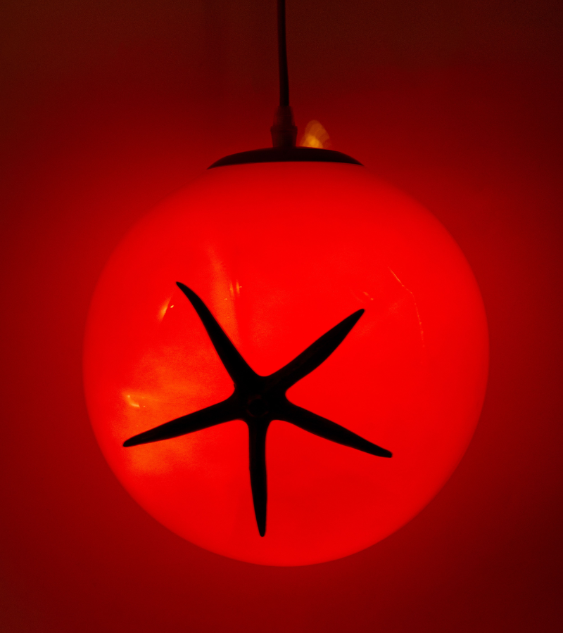 Lampe tomate à poser ou suspendre