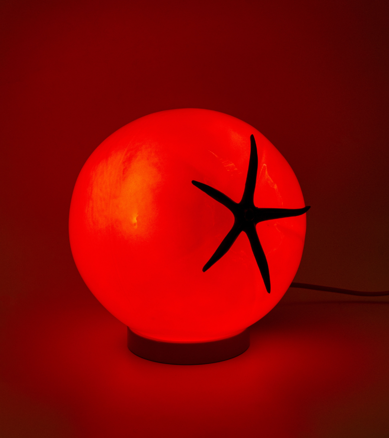 Lampe tomate à poser ou suspendre