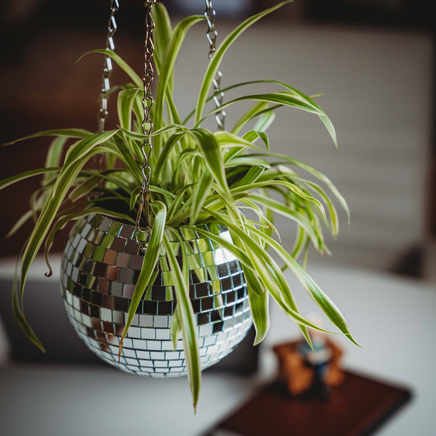 Jardinière Suspendue Disco