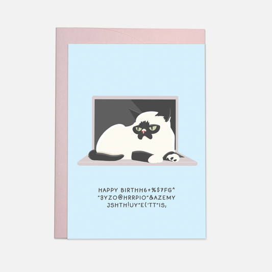 Carte postale - Clavier chat
