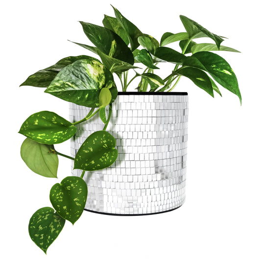 Jardinière Disco