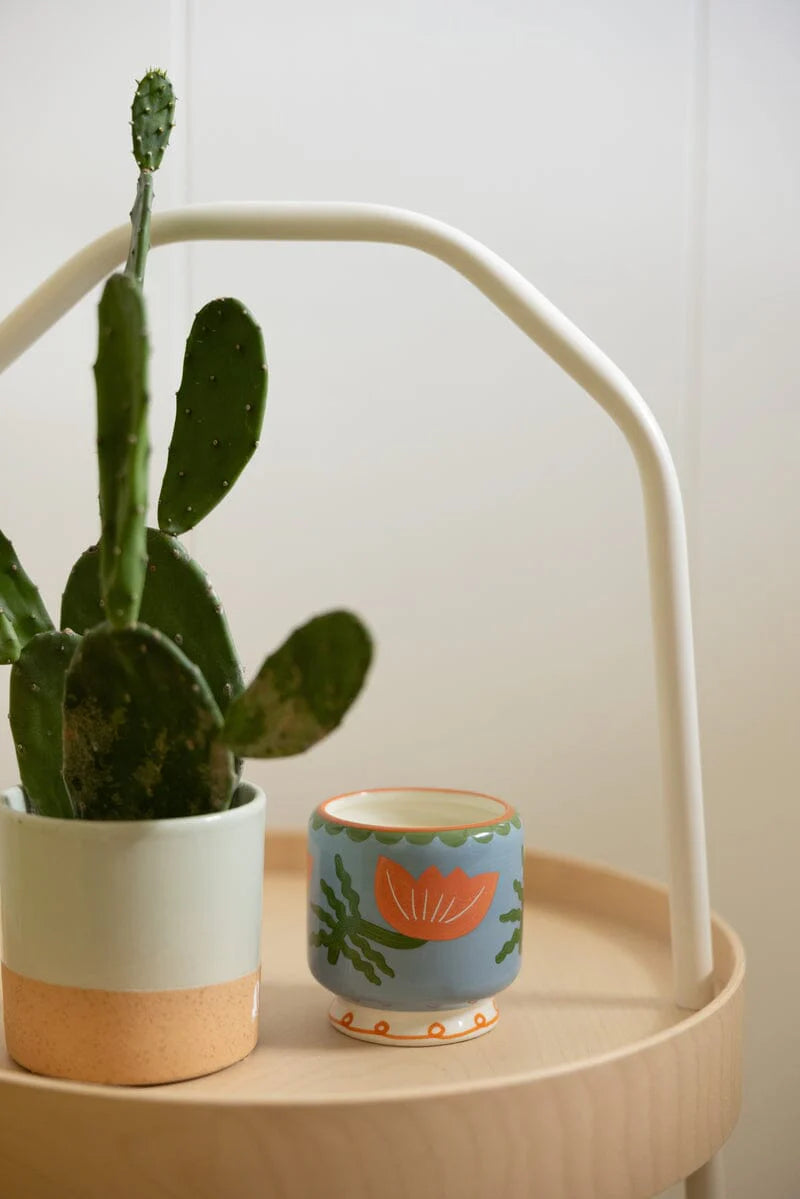 Bougie Cactus - Fleurie
